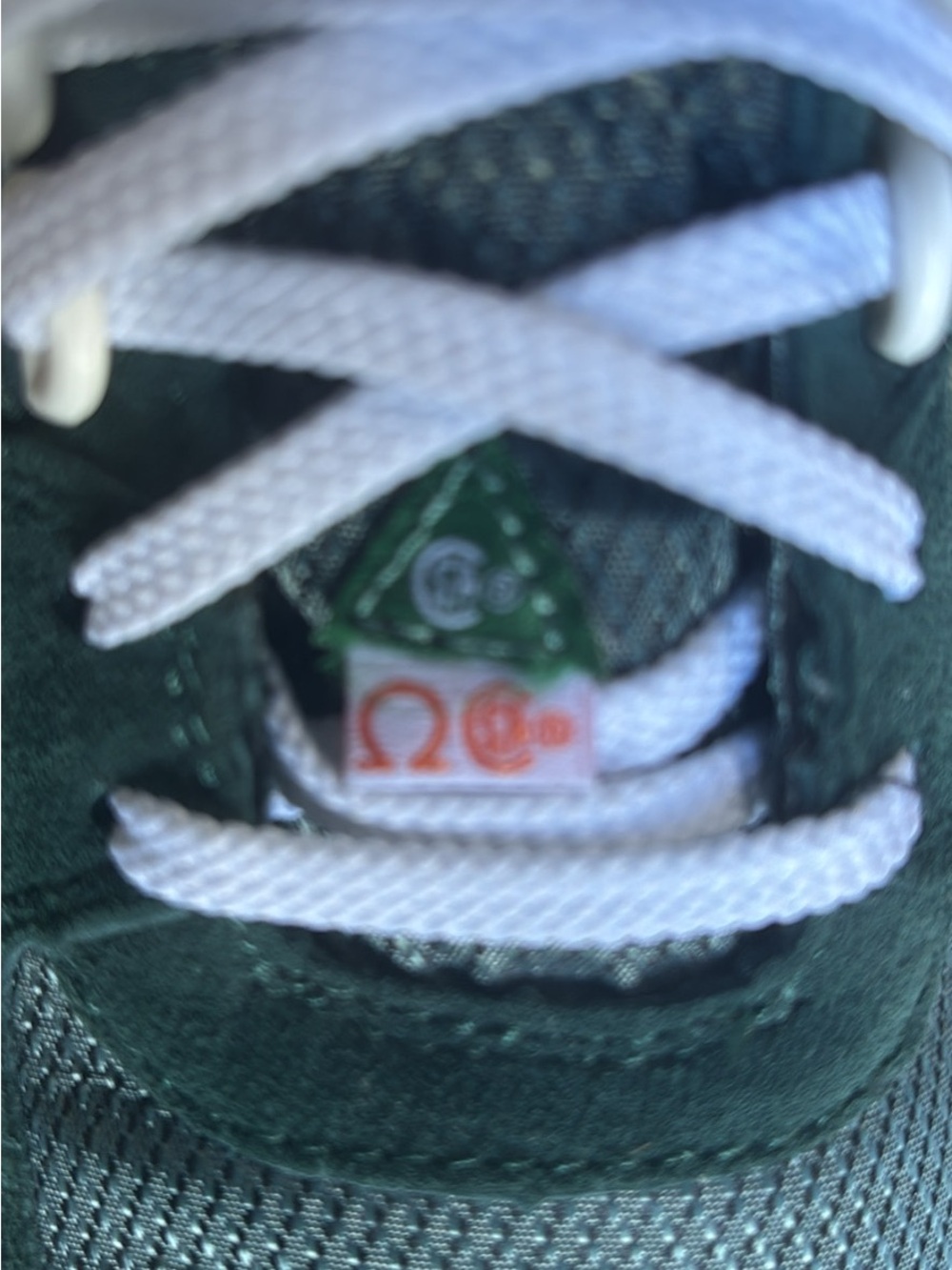 Caterpillar Dark Green Espadrilles with White Laces